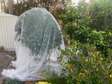 Fruit Fly Net - 10m x 12m - Pre Pack - Knitted Netting - White - UV Resistant - High Quality
