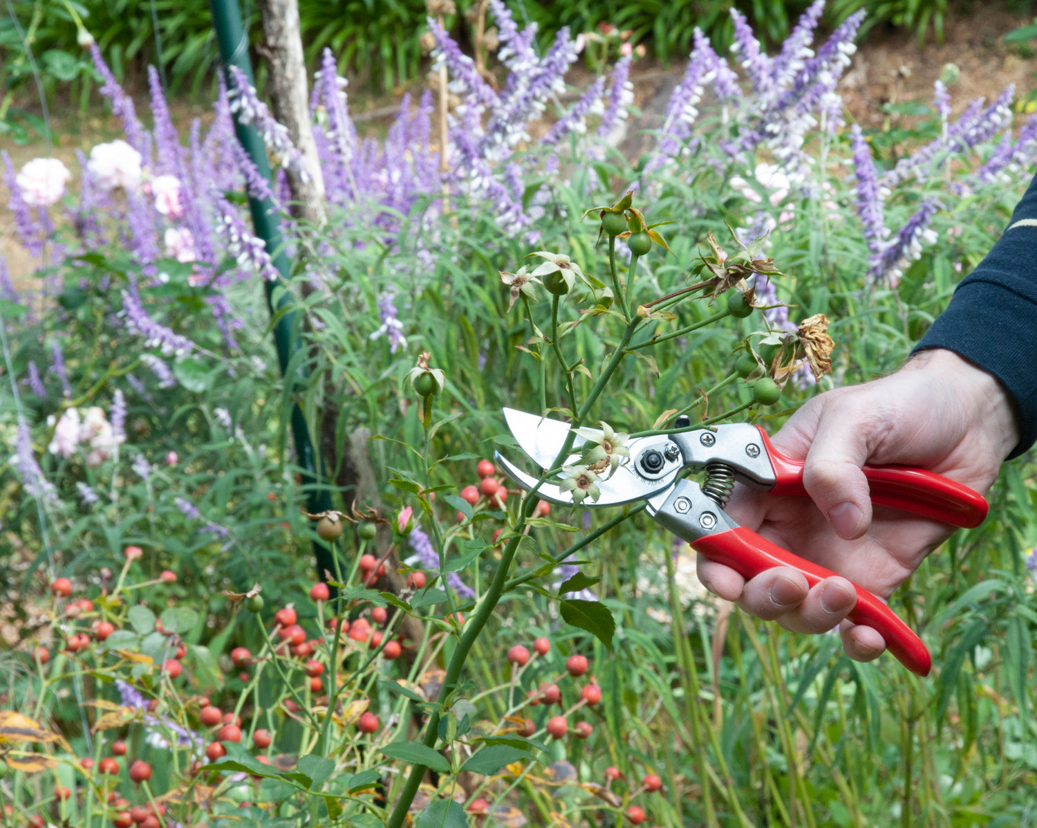 Gardening Tools