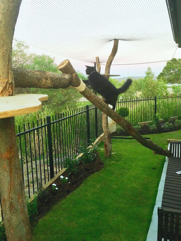 Cat top fence net