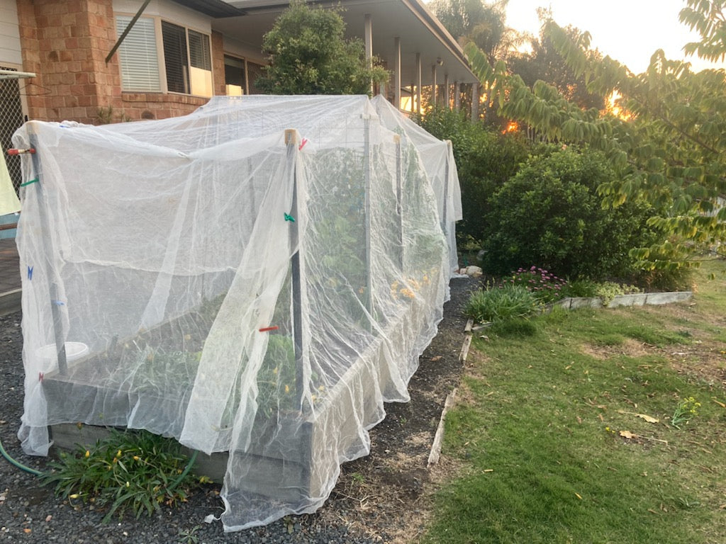 Fruit Fly Net - 3m x 6m - Pre Pack - Knitted Netting - White - UV Resistant - High Quality