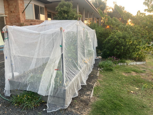 Fruit Fly Net - 3m x 6m - Pre Pack - Knitted Netting - White - UV Resistant - High Quality