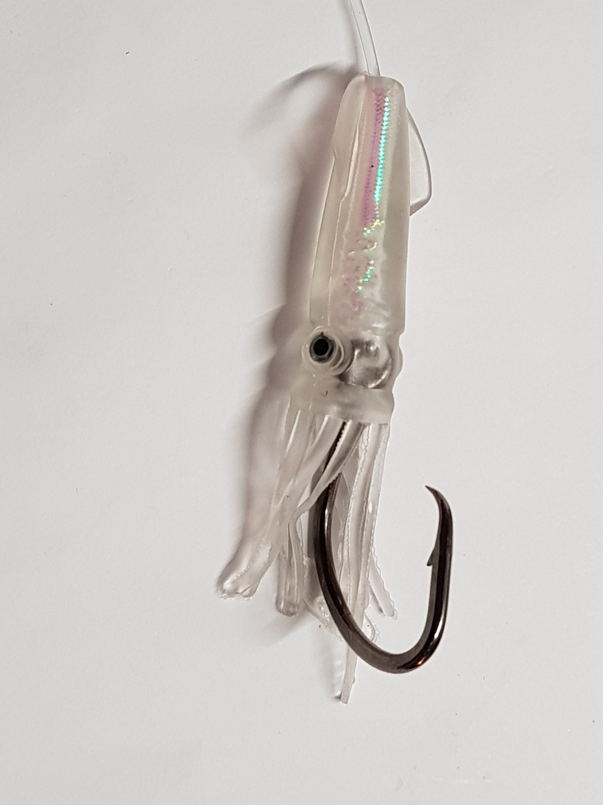Iridescent Squid - 4 Pack - Diamond Networks