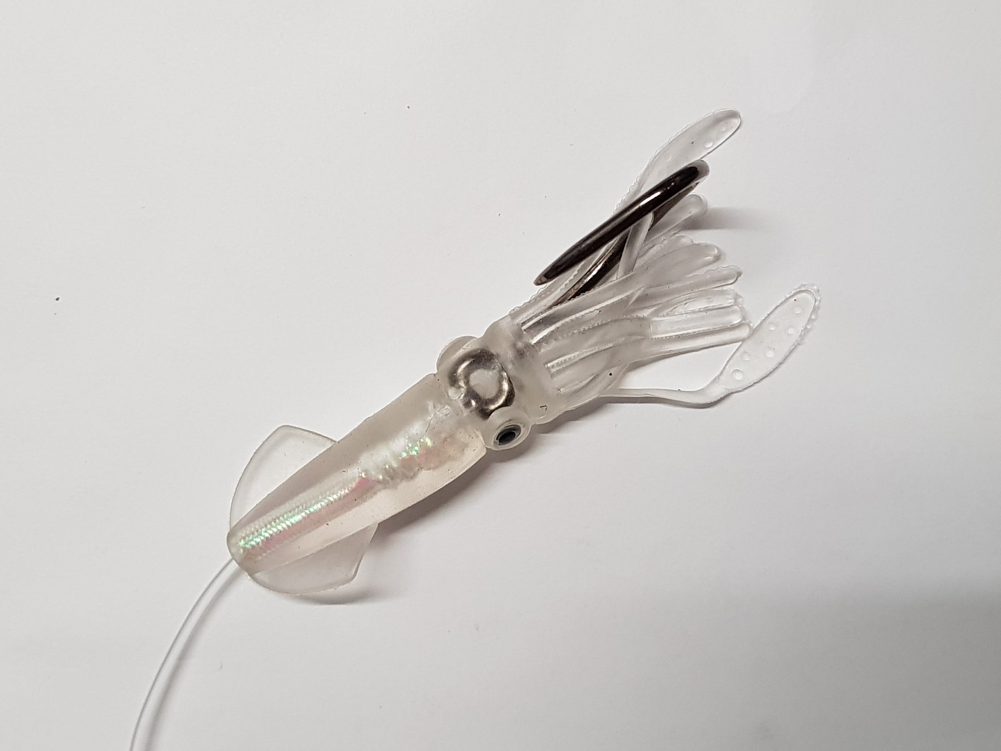 Iridescent Squid - 4 Pack - Diamond Networks