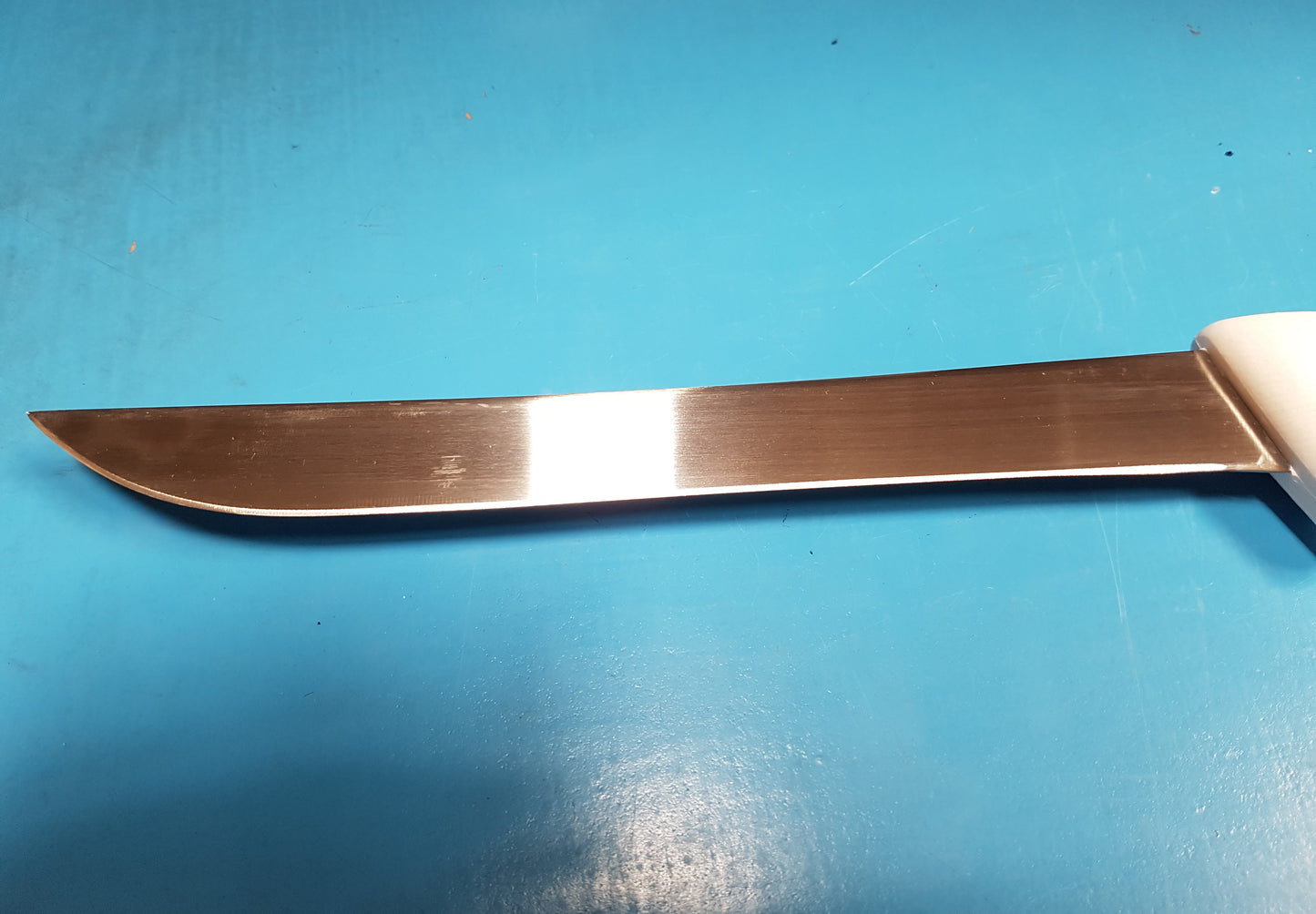 21cm Stainless Steel Japanese Fish Filleting Knife in Perth