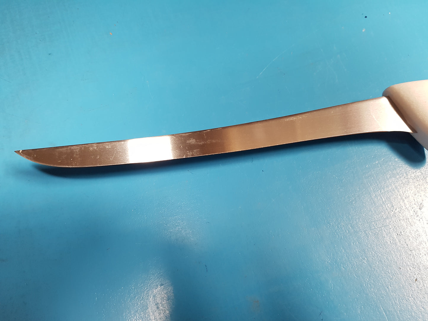 20cm Japanese Stainless Steel Fish Filleting Knife, Holds an Edge