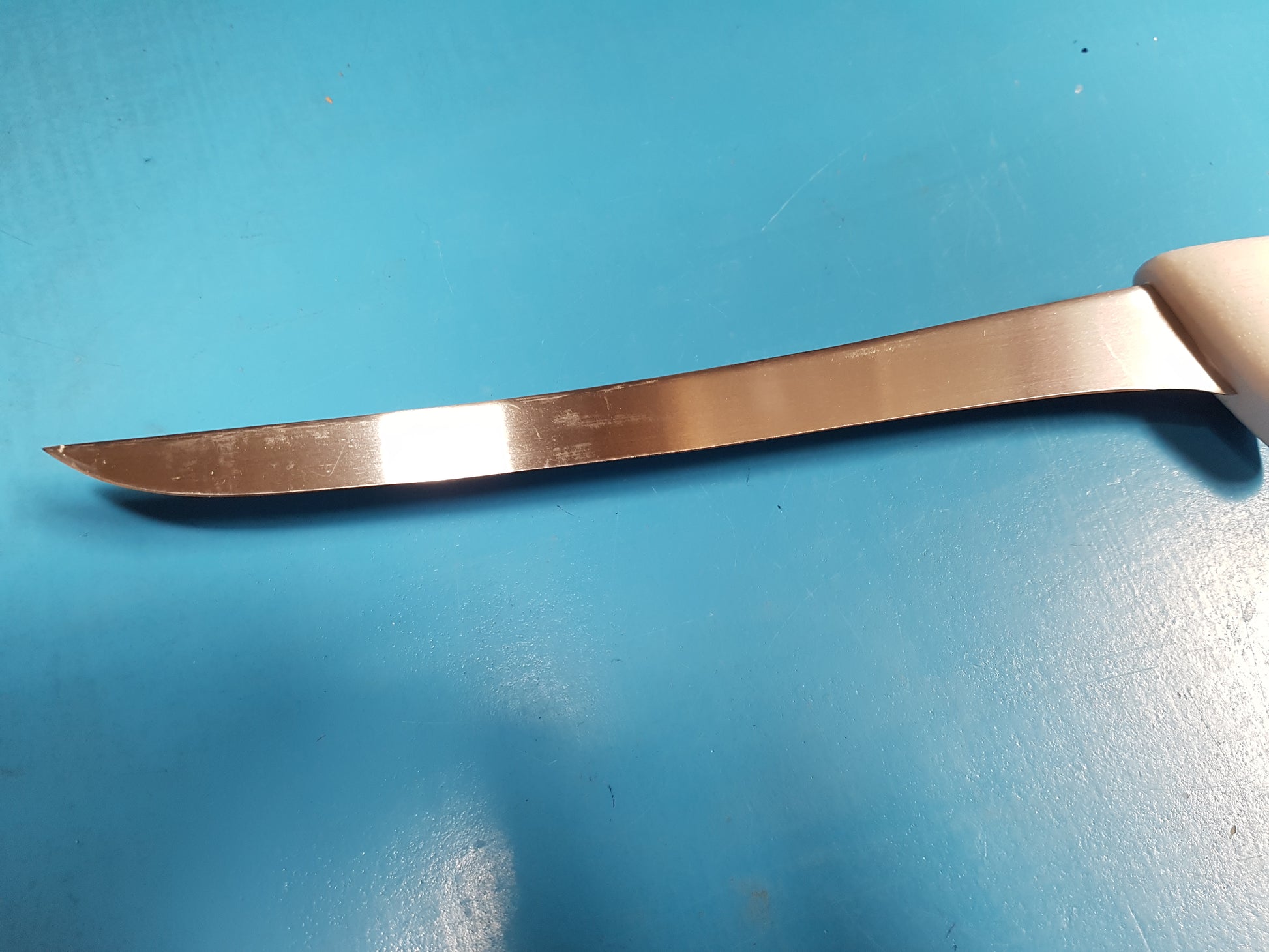 20cm Japanese Stainless Steel Fish Filleting Knife, Holds an Edge