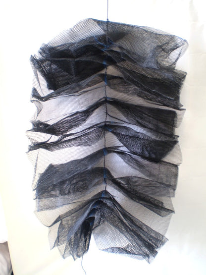 Made Up Marron Hides in Perth at Diamond Networks