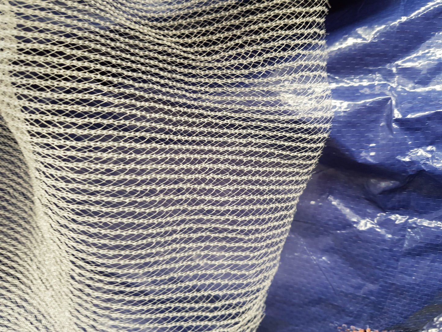 Fruit Fly Netting - 10m Wide - Commercial Grade White Knitted Netting - Cut Length - Diamond Networks